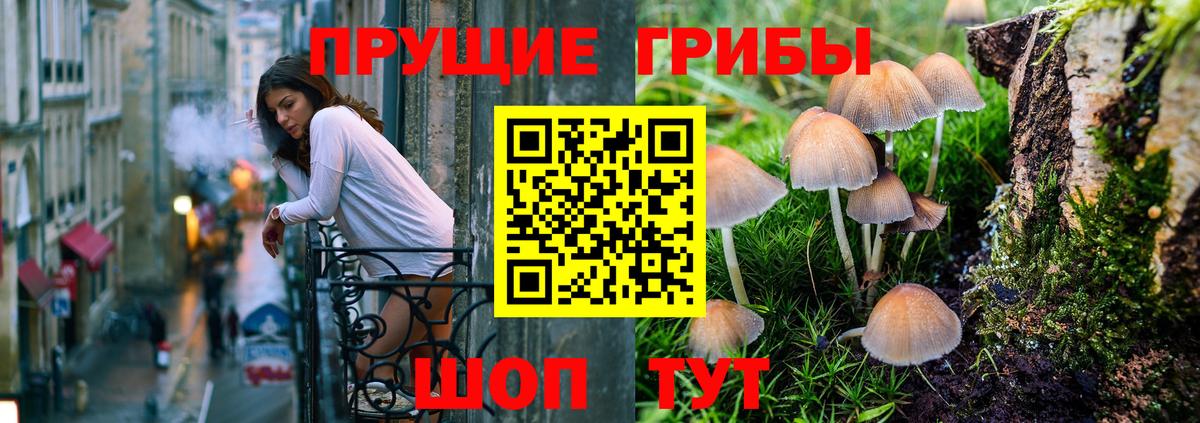 Псилоцибиновые грибы ЛСД  Галлюциногенные грибы мухоморы  Вход с VPN  купить  цена  Кириши 
